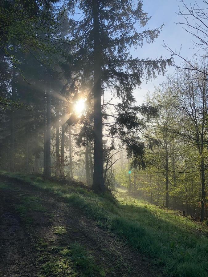 Villa Hainberg Rauschenbach Bagian luar foto
